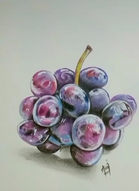 Grapes — Hyperreal Still Life — Colored pencil