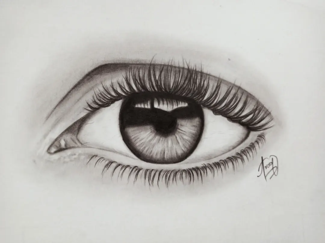 Eye Study II — Graphite pencil